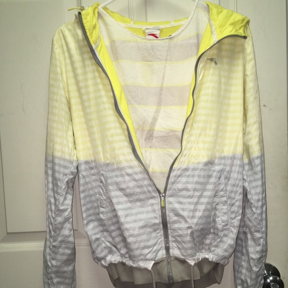 Massimo Dutti 100% Genuine Silk Blouse Gray Striped Top Italy - Picture 2 of 16